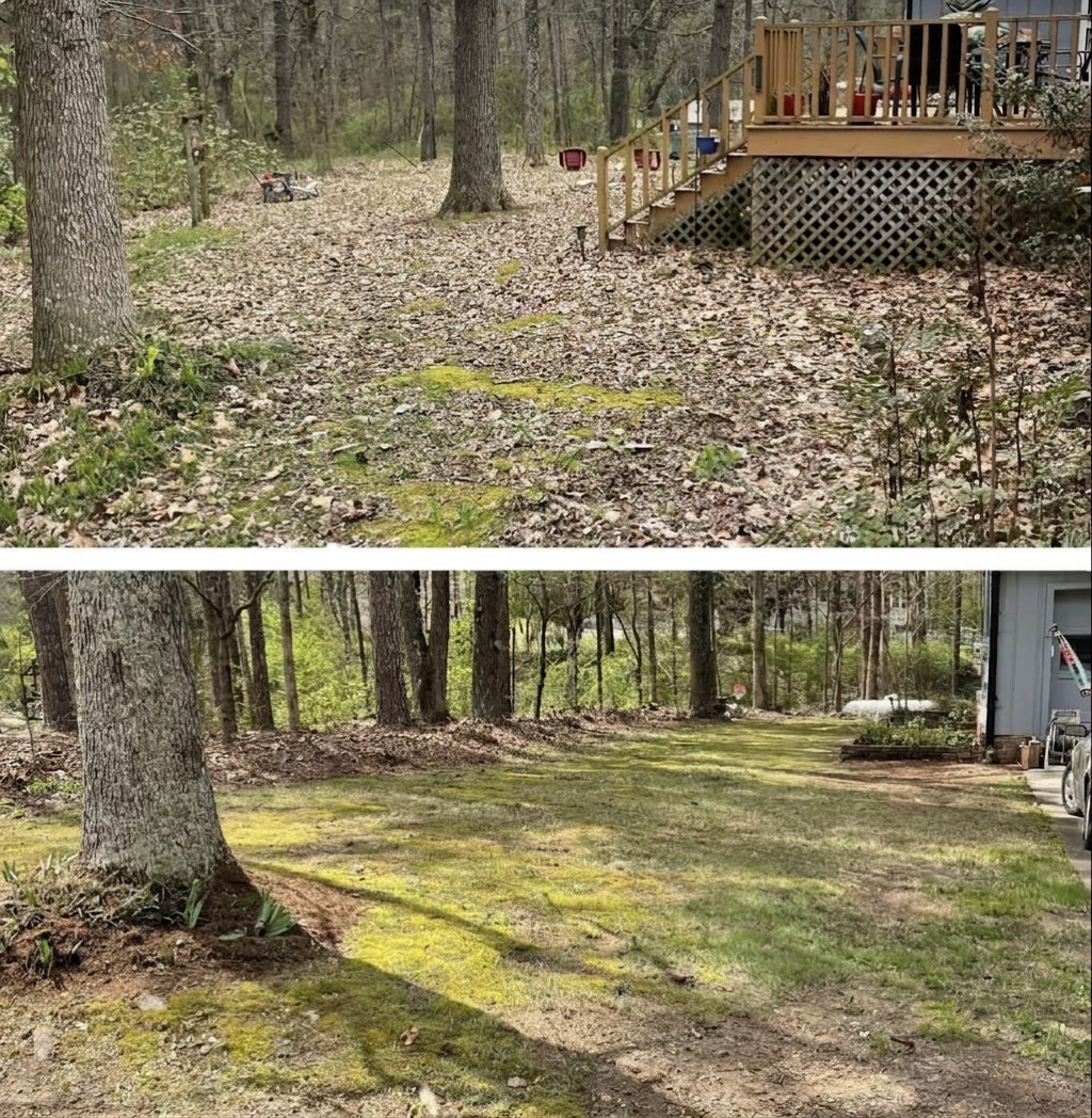 Before and after landscaping transformation 1 by Xtreme Landscaping