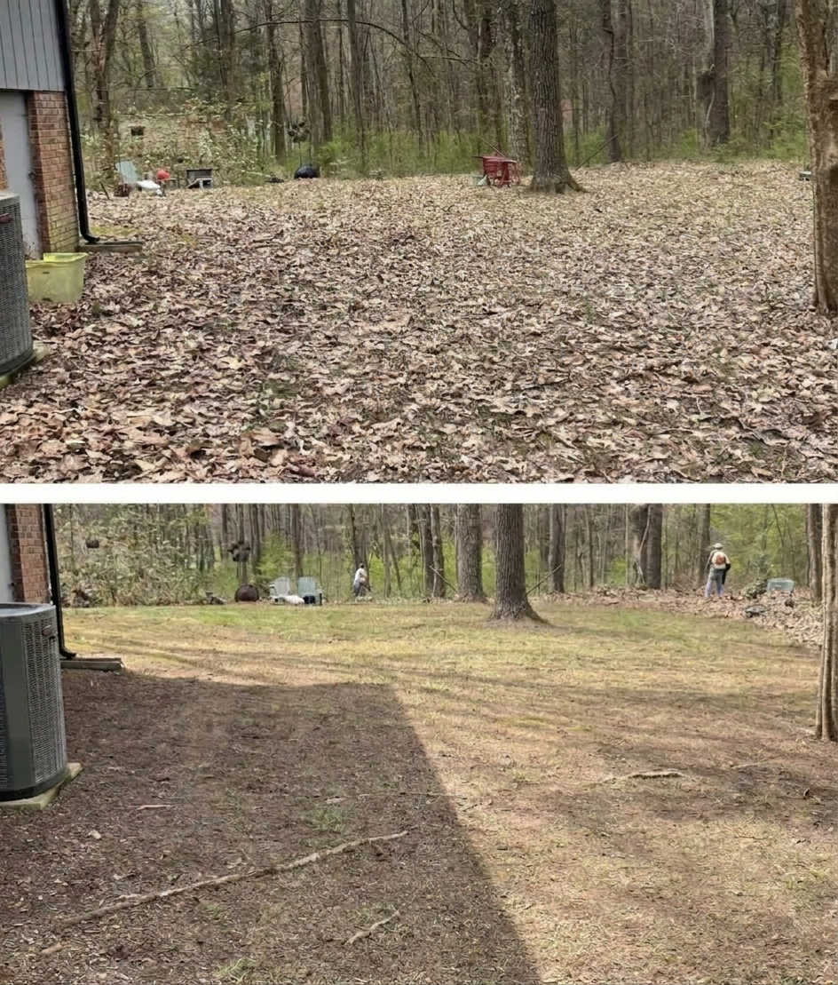 Before and after landscaping transformation 2 by Xtreme Landscaping